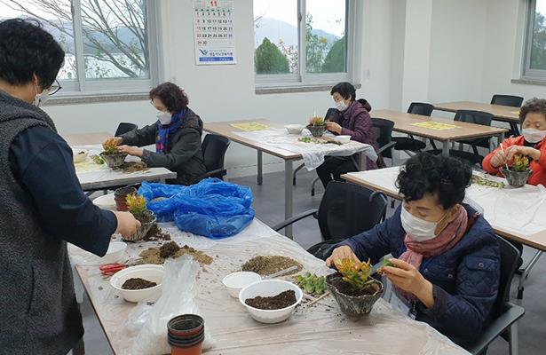 집단활동(원예치료) 사진